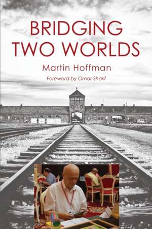 Bridging Two Worlds de Martin Hoffman