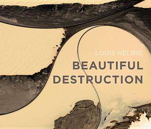 Beautiful Destruction de Louis Helbig