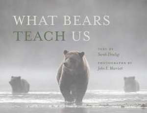 What Bears Teach Us de Sarah Elmeligi