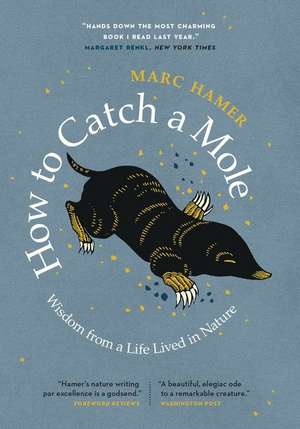 How to Catch a Mole de Marc Hamer