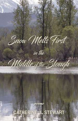 Snow Melts First in the Middle of the Slough de Catherine J Stewart