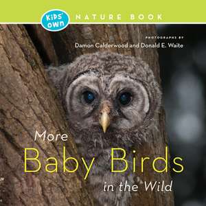 More Baby Birds in the Wild de Damon Calderwood