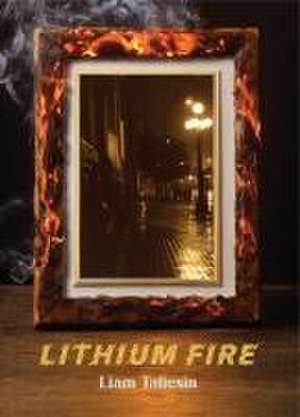 Lithium Fire de Liam Taliesin