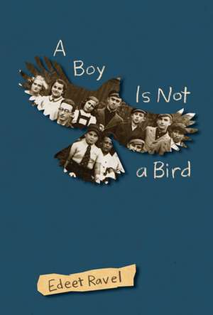 A Boy Is Not a Bird de Edeet Ravel