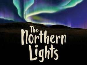 The Northern Lights de Diane Ellis