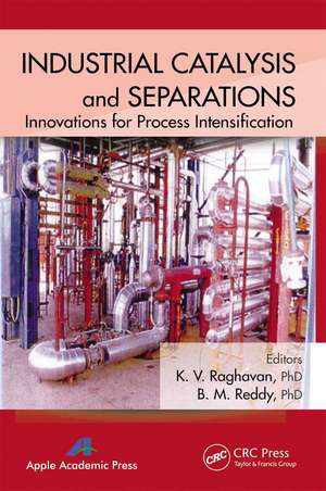 Industrial Catalysis and Separations: Innovations for Process Intensification de K. V. Raghavan