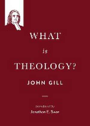 What is theology? de John Gill