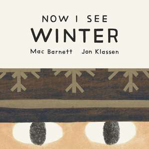 Now I See Winter de Mac Barnett