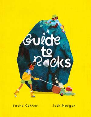 A Guide to Rocks de Sacha Cotter