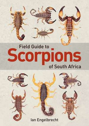 Field Guide to Scorpions of South Africa de Ian Engelbrecht