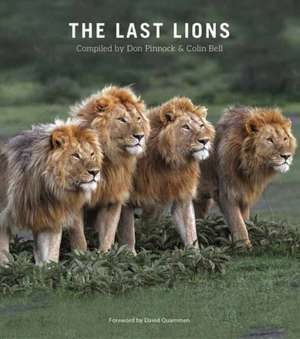 Last Lions de Don Pinnok
