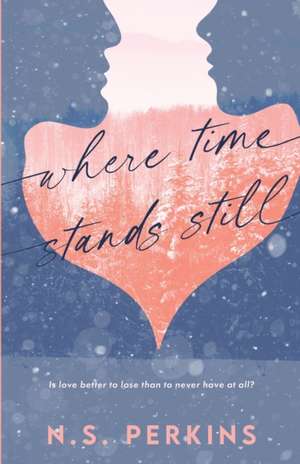 Where Time Stands Still de N. S. Perkins