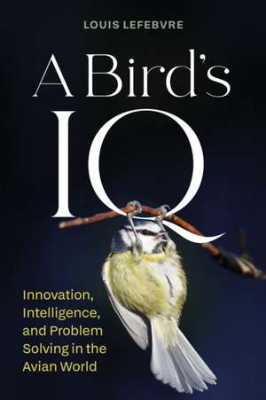 A Bird's IQ de Louis Lefebvre