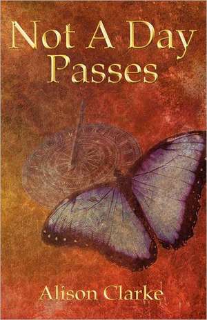 Not a Day Passes de Alison Solicitor Clarke