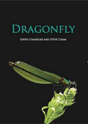 Dragonfly de David Chandler