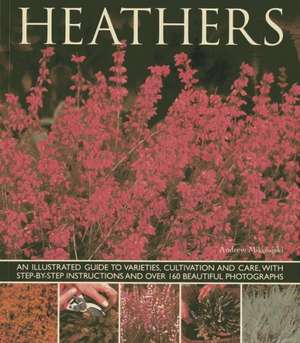 Heathers de Andrew Mikolajski