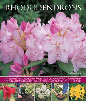 Rhododendrons de Lin Hawthorne