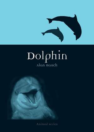 Dolphin de Alan Rauch