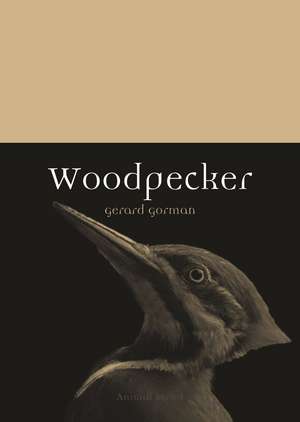 Woodpecker de Gerard Gorman