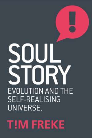 Soul Story de Tim Freke