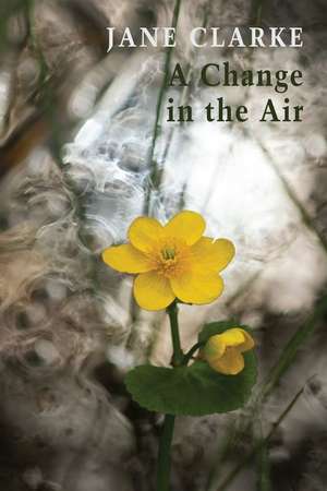 A Change in the Air de Jane Clarke