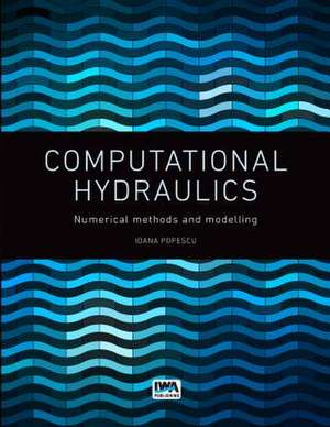 Computational Hydraulics de Popescu