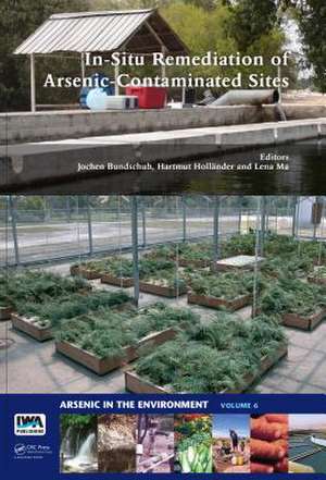 In-Situ Remediation of Arsenic-Contaminated Sites de Jochen Bundschuh