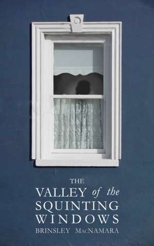 The Valley of the Squinting Windows de Brinsley McNamara