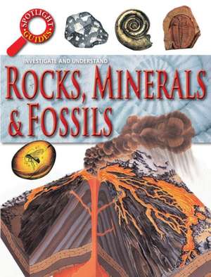 Rocks, Minerals & Fossils de Neil Curtis