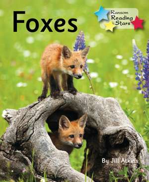 Foxes de Atkins Jill