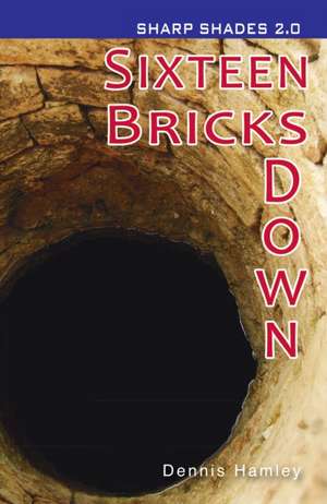 Sixteen Bricks Down (Sharp Shades) de Hamley Dennis