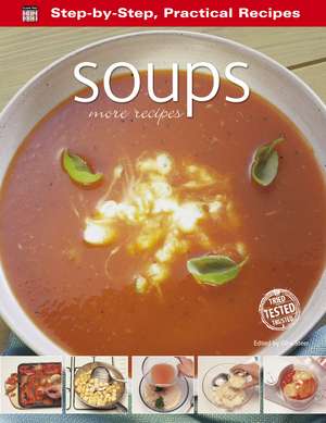 Soups: More Recipes de Gina Steer