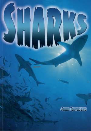 Sharks de John Townsend