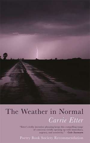 The Weather in Normal de Carrie Etter