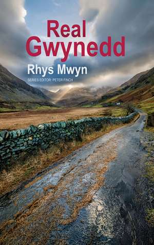 Real Gwynedd de Rhys Mwyn