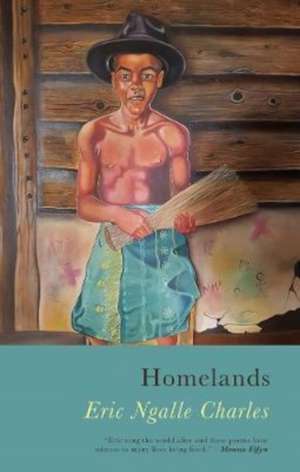 Homelands de Eric Ngalle Charles