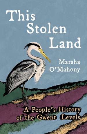This Stolen Land de Marsha O'Mahony