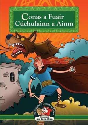 Mar a Fuair Cuchulainn a Ainm de Ann Carroll