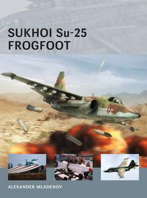 Sukhoi Su-25 Frogfoot de Alexander Mladenov