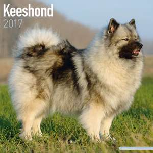 Keeshond Calendar 2017 de Avonside Publishing Ltd.