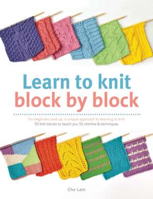 Learn to Knit Block by Block de Che Lam