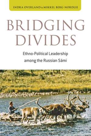 Bridging Divides de Indra Overland