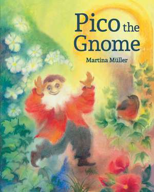 Pico the Gnome de Martina Muller