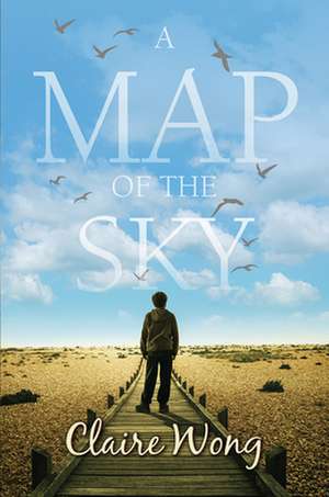 A Map of the Sky de Claire Wong