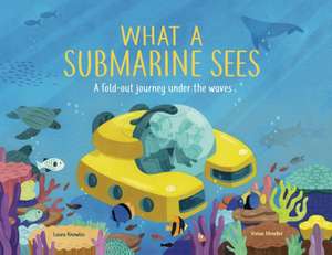 What a Submarine Sees de Laura Knowles