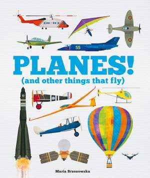 Planes! de Bryony Davies