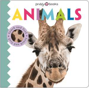 Touch & Feel Friends Animals de Roger Priddy