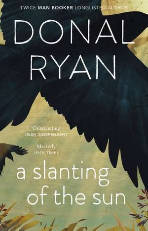 A Slanting of the Sun: Stories de Donal Ryan