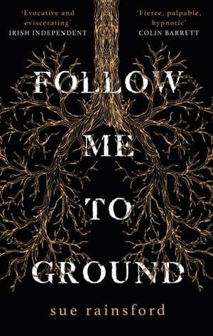 Follow Me To Ground de Sue Rainsford