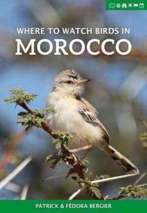 Where to Watch Birds in Morocco de Patrick Bergier